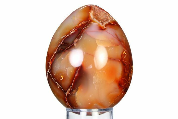 Vibrant Polished Carnelian Agate Egg - Madagascar #318277